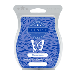 Thunderstorm Scentsy Bar