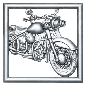 Bike Gallery Frame (With Warmer)