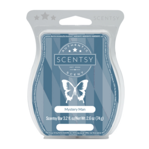 Mystery Man Scentsy Bar