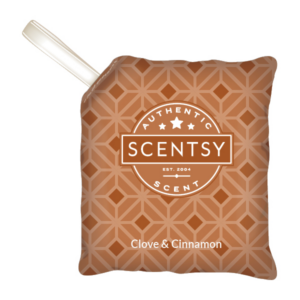 Clove & Cinnamon Scent Pak