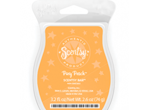 Posy Peach Scentsy Bar