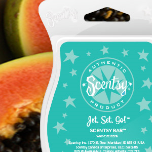 scentsy jet set go scentsy jet set go