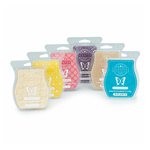 6 Scentsy Bars