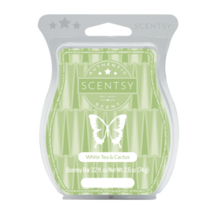 White Tea & Cactus Scentsy Bar