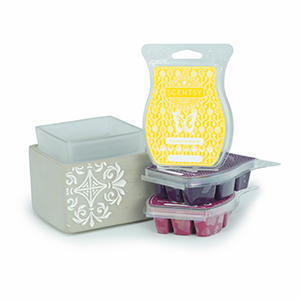 Scentsy System - Deluxe