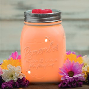 Chasing Fireflies Authentic Scentsy Warmer Mason Jar Style Full Size NEW