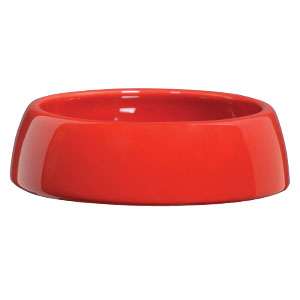 Coast Guard - DISH ONLY