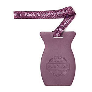 Black Raspberry Vanilla Scentsy Car Bar