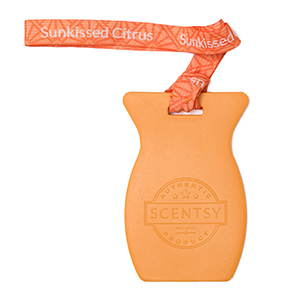 Sunkissed Citrus Scentsy Car Bar