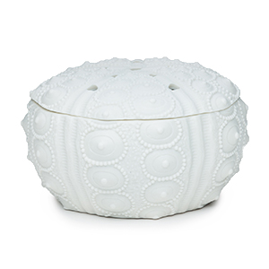 Sea Urchin Scentsy Warmer