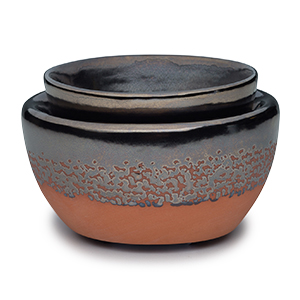 Zuni Scentsy Warmer