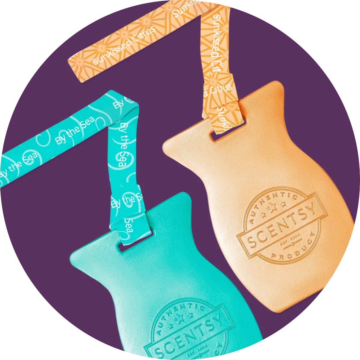 Scentsy Car Bars