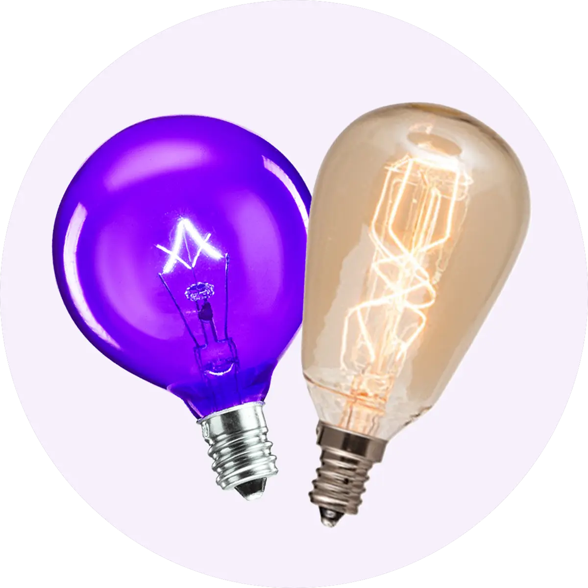 Bulbs & Accessories