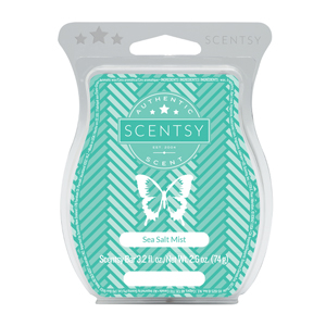 Sea Salt Mist Scentsy Bar