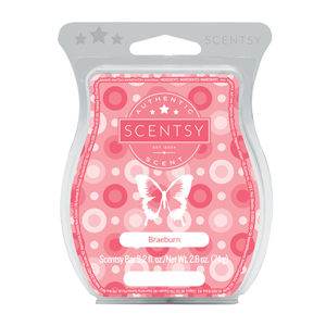 Braeburn Scentsy Bar