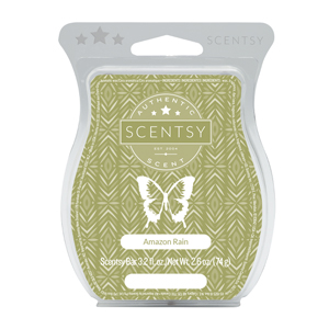 Amazon Rain Scentsy Bar