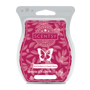 Wild Redberry & Sweet Melon Scentsy Bar