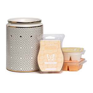 Scentsy System - $40 Warmer