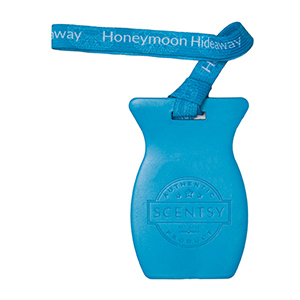 Honeymoon Hideaway Scentsy Car Bar