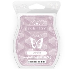 Cherished Scentsy Bar