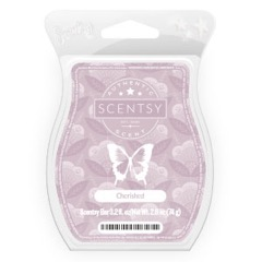 Cherished Scentsy Bar