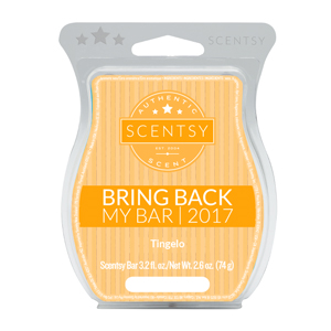 Tingelo Scentsy Bar