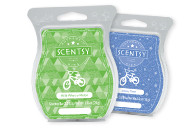 Kids Scentsy Bars