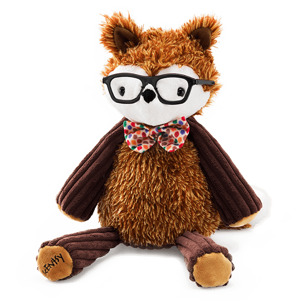 Fallon the Fox