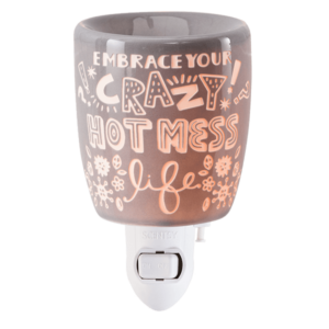 Crazy Hot Mess Scentsy Warmer