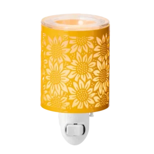 Toward The Sun Mini Warmer