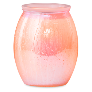 Summer Rain Scentsy Warmer