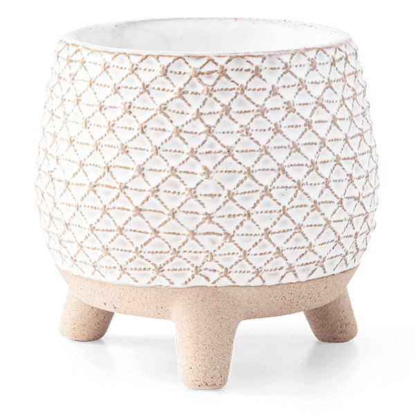 Take A Stand Scentsy Warmer