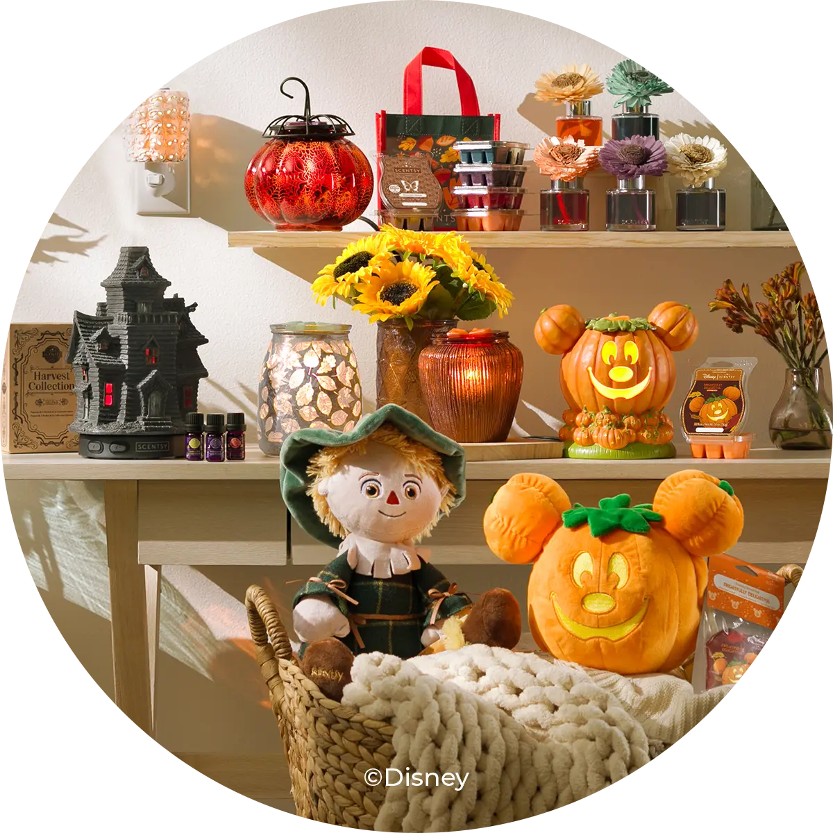 2024 Harvest Collection