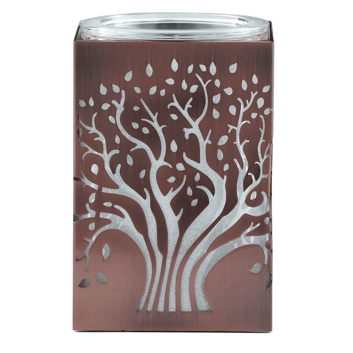 Deep Roots - Image 2