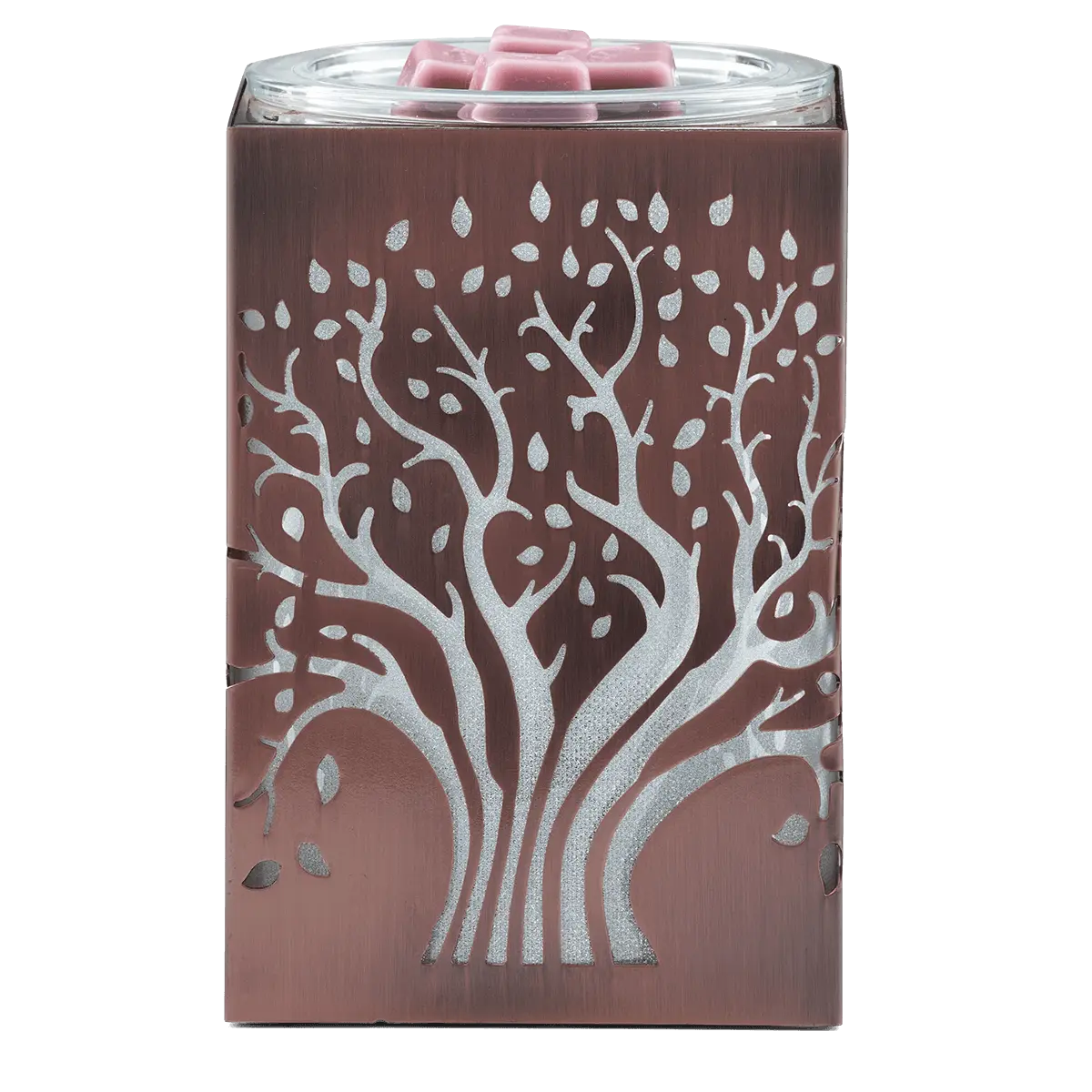 Deep Roots - Image 4