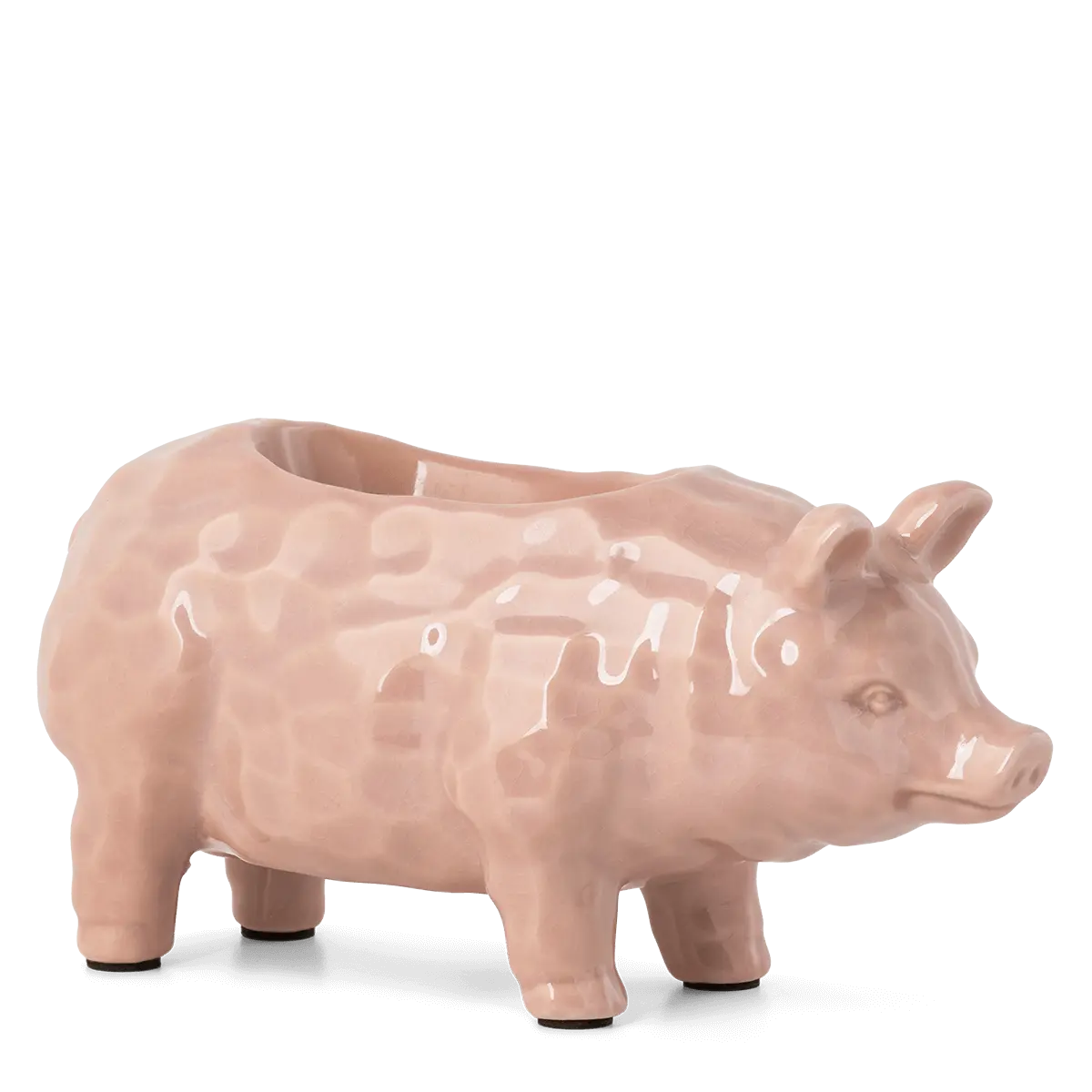 Farmhouse Pig