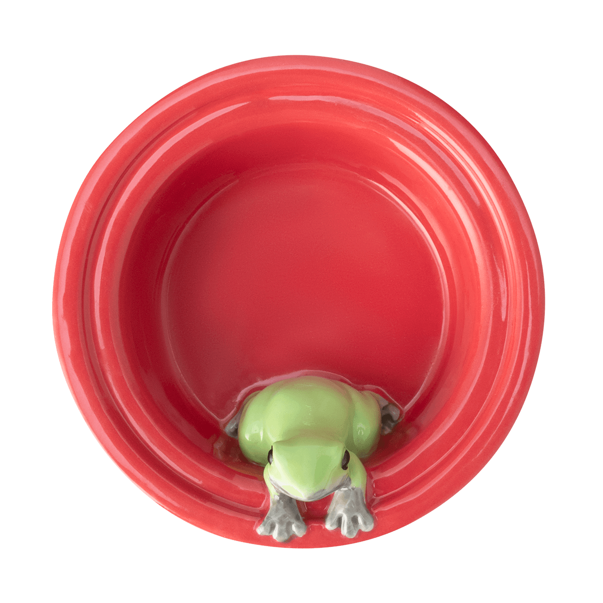 Celebrate Puerto Rico Replacement Dish - Image 2