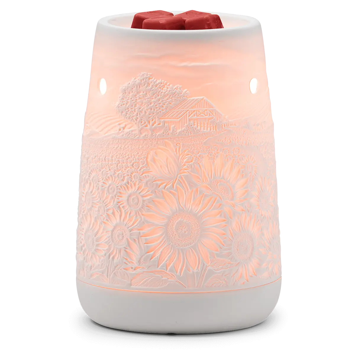 Sunflower Fields - Image 3