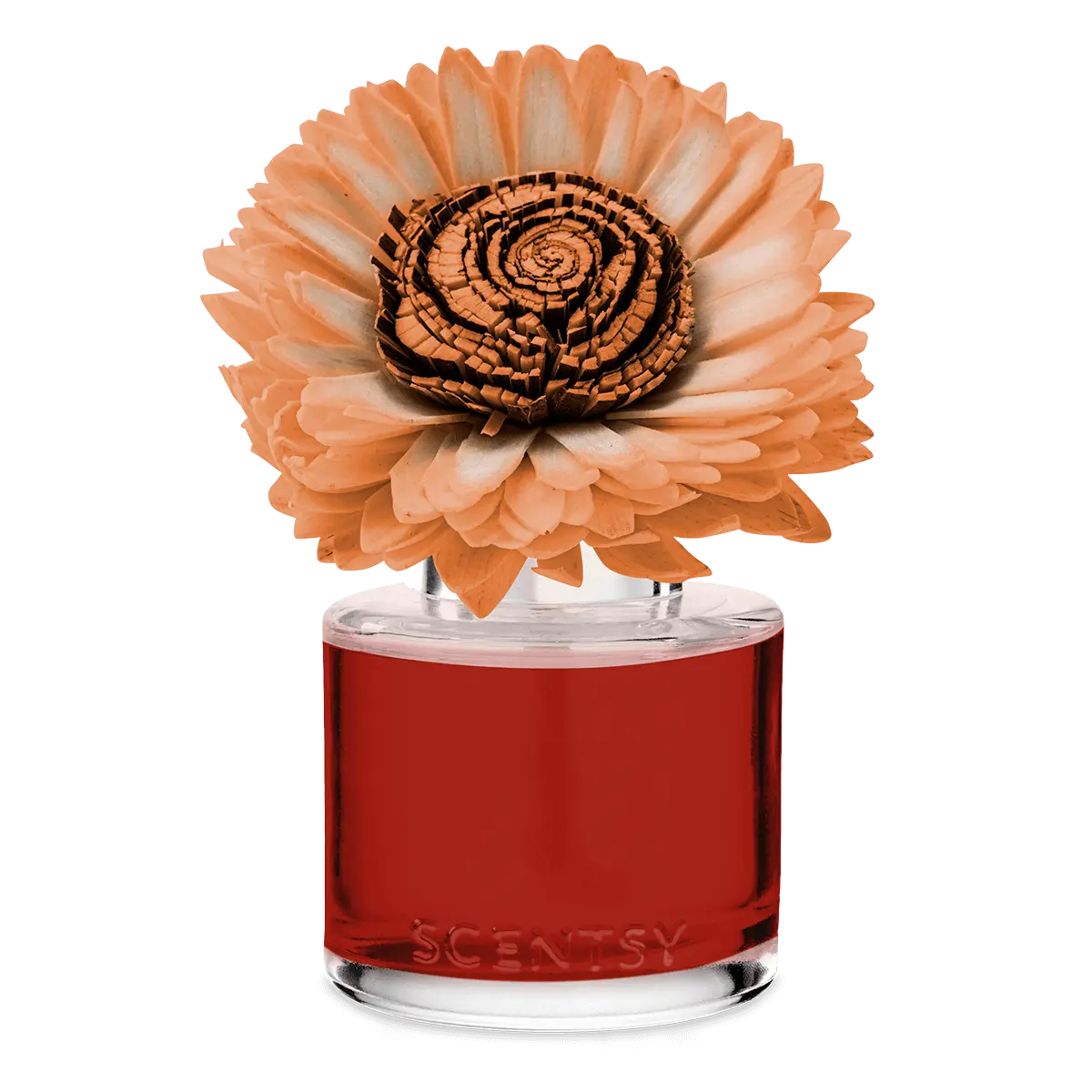 Apple Spice Season - Stunning Sunflower Fragrance Flower