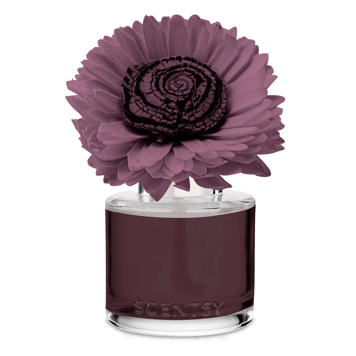 Berry Apple Shortbread - Stunning Sunflower Fragrance Flower