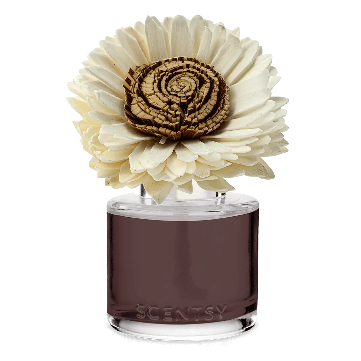 Cinnamon Woods - Stunning Sunflower Fragrance Flower