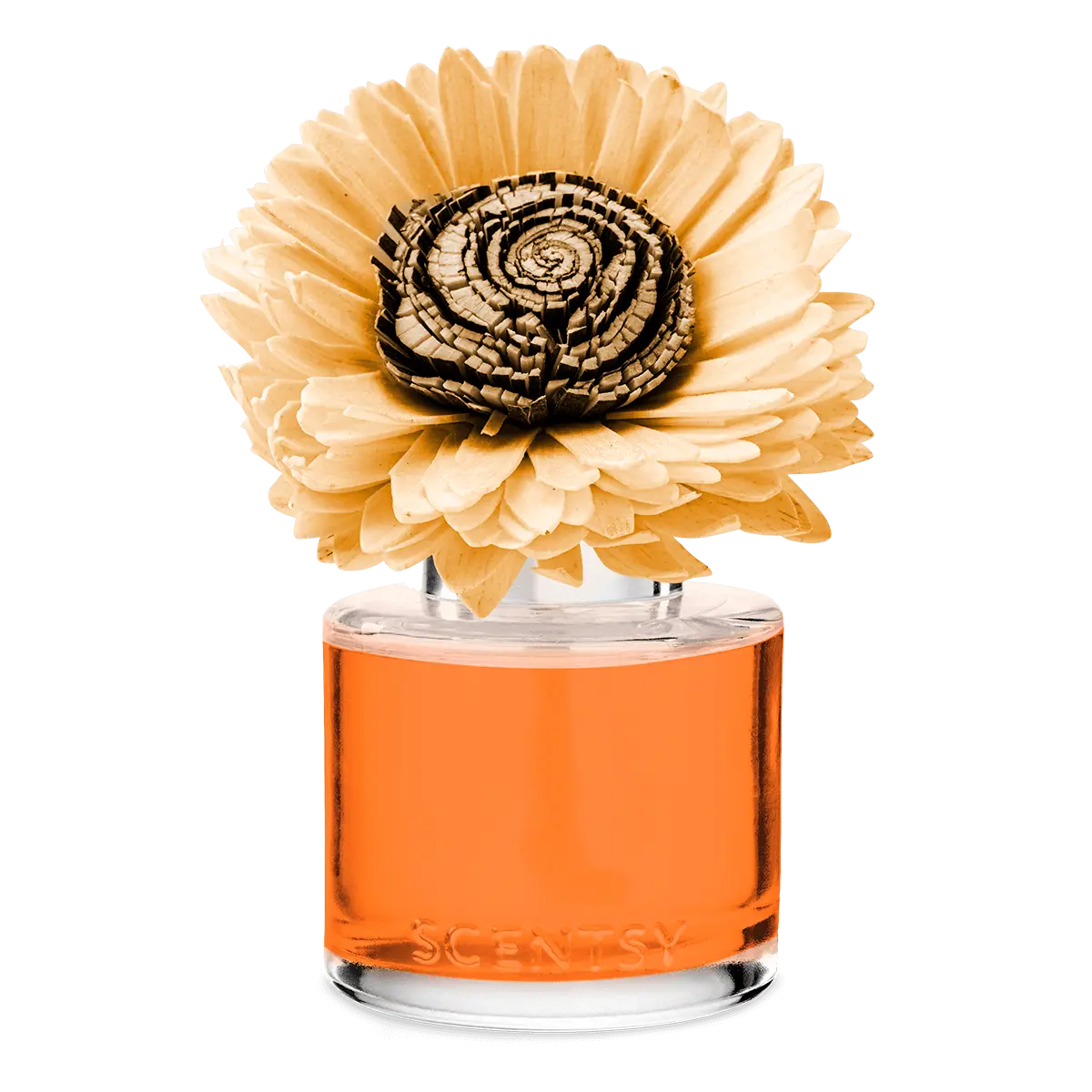 Sparkling Spiced Citrus - Stunning Sunflower Fragrance Flower