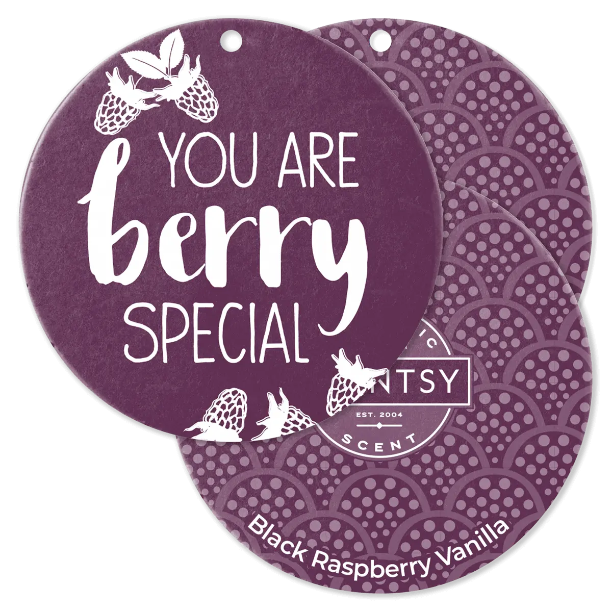 Black Raspberry Vanilla Scent Circle 3-Pack