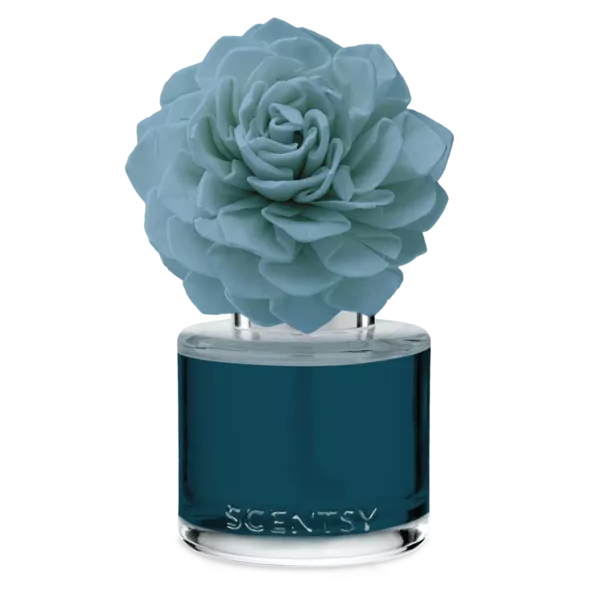 Rugged Mountain Rain – Dahlia Darling Fragrance Flower