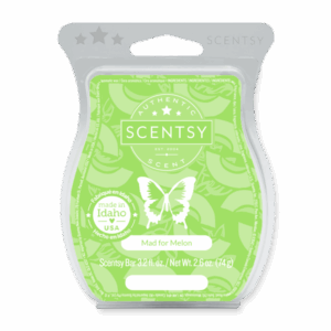 Mad For Melon Scentsy Bar
