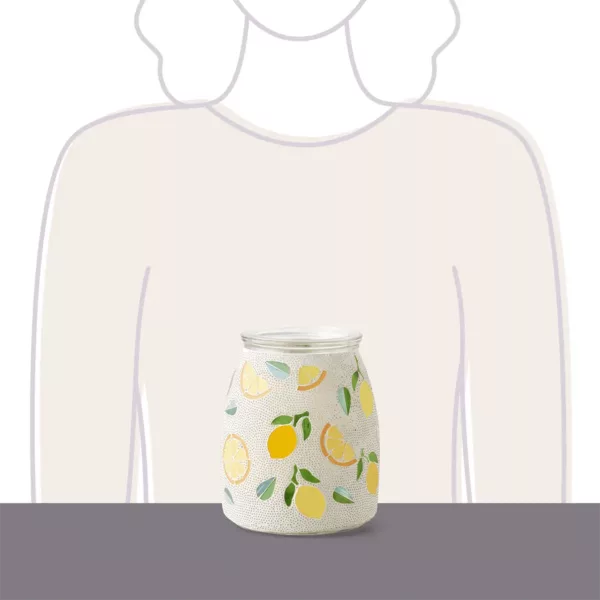 Lemonly Yours Warmer - Image 4