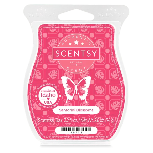 Destinations Scentsy Bar 5-pack - Image 3