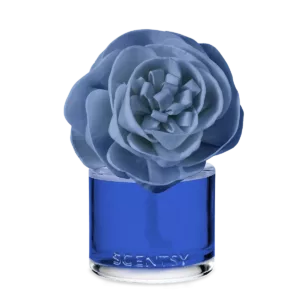 Saguaro Desert Rain – Buttercup Belle Fragrance Flower