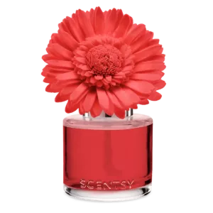 Santorini Blossoms - Dainty Daisy Fragrance Flower