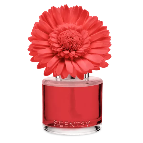 Santorini Blossoms - Dainty Daisy Fragrance Flower